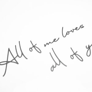 ALL OF ME LOVES ALL OF YOU - Image 7